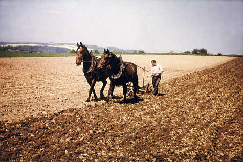 Entwicklung der Landwirtschaft