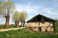 Im Jahre 2005 abgerissener Stall am Teich