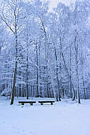 Einsame Aussichtsbänke am abendlichen Winterwald