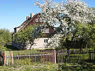 Baumblüte am Hofeberg